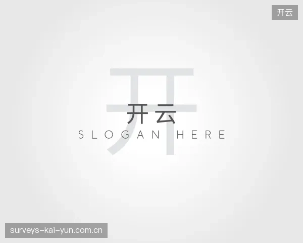 解读开云公司